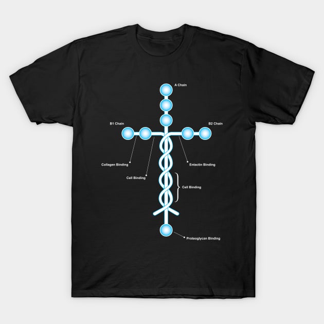 Laminin Christian T-Shirt by ManaWar